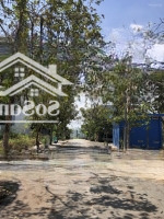 Chính Chủ Ngộp Cần Bán Gấp Đất Rẻ Đẹp Giá Đầu Tư Tp Thủ Đức