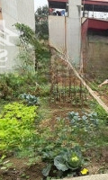 Bán Nhanh Hoa Hậu 94M2 Tổ 8 Quang Minh Mê Linh Hn (Ô Tô Vào Tận Đất)