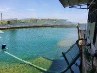 Cần Bán Quỹ Đất Quy Hoạch Tmdv, Mặt Tiền Đường Hòn Dồ, Hàm Cường, Hàm Thuận Nam, Bình Thuận