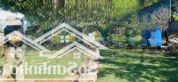 Em Nguyệt Nha Trang Cần Bán Lô Đất Có 1-0-2 View Biển,Trong Đất Có Suối Tại Đảo Du Lịch Bình Hưng