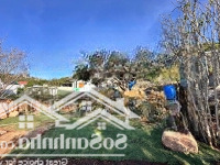Em Nguyệt Nha Trang Cần Bán Lô Đất Có 1-0-2 View Biển,Trong Đất Có Suối Tại Đảo Du Lịch Bình Hưng