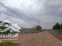 Cô 4 Bán Đất 1129M2 Sau Lưng Chợ An Thái Gầnmặt Tiềnđường Dh507 Dân Xung Quanh Đông. Liên Hệ: 0325030897(Vy)
