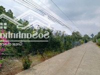 Cô 4 Bán Đất 1129M2 Sau Lưng Chợ An Thái Gầnmặt Tiềnđường Dh507 Dân Xung Quanh Đông. Liên Hệ: 0325030897(Vy)