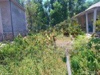 Cần Bán Nhanh Lô Đất Thôn 1B - Xã Thuỷ Phù - Hương Thuỷ