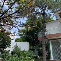 BDS HVL CG: CHO THUÊ VILLA 33x39M TRƯỜNG THỌ GIÁ 60TR/TH CÓ BÁN NẾU ĐƯỢC GIÁ