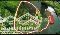 Bán Đất Dành Cho Vua Chúa Ở Vớidiện Tíchhơn 6600M2 Tại Lạc Thủy, Hòa Bình Giá Chỉ Hơn 1 Triệu/M2