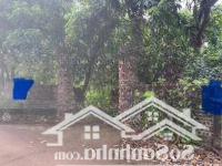 Bán Lô Đất 360M2 Full Thổ Cư Tại Đông Kết, Khoái Châu Vị Trí Cực Đẹp
