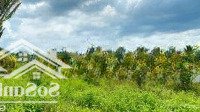 Chính Chủ Bán Lô Đất Dự Ánmặt Tiềnđường 25C Diện Tích 110M2, Cách Tthc Nhơn Trạch 1Km Giá Chỉ 13, 5 Triệu/M2