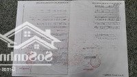 Đường Bê Tông, Sát Nhựa 5X30M, Full Thổ Cây Da Hiệp Thạnh Chỉ 360 Triệu