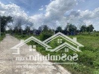 Đường Bê Tông, Sát Nhựa 5X30M, Full Thổ Cây Da Hiệp Thạnh Chỉ 360 Triệu