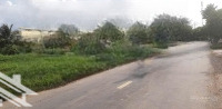 Chính Chủ Kẹt Tiền Bán Gấp Đất Mặt Tiền Bàu Trai, Gần Ủy Ban Đức Hòa Long An