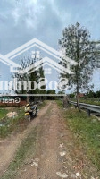 Chốt Giá Bán Gấp Lô Đất Mặt Tiền Kênh Xuân Thới Thượng Hóc Môn