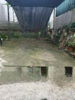 Cơ Hội Vàng Sở Hữu Đất Trung Tâm Bắc Cường Không Nên Bỏ Lỡ!
