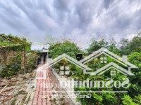 Siêu Phẩm Nhà Vườn 2.500M2 Nhà Bè Bán Về Quê Với Các Con