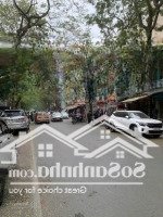 Mặt Phố Văn Miếu Kinh Doanh Đỉnh Giá Tốt Nở Hậu