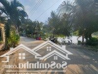 Bán Gấp Lô Đất Diện Tích Lớn 2500M2 Đã Lên Thổ 500M2 Nhơn Đức - Nhà Bè Chỉ 11 Tr/M2