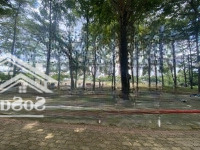 Bán Đất Sổ Đỏ 100M2, Giá Bán 35 Tỷ Mặt Tiền Đường Trương Văn Bang, P. Thạnh Mỹ Lợi, Q2, Hcm
