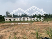 Bán Đất Tại Thị Trấn Hạ Hòa, 600 Triệu, 115.6M2, View Đẹp, Pháp Lý Đầy Đủ