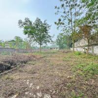 Bán đất view hồ Đầm Vạc, Đông Phú, Đồng Tâm, Vĩnh Yên