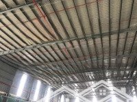 Cho Thuê Kho Xưởng Kcn Đức Hòa , Long An - Diện Tích Lớn , Tiện Nghi, Pccc Tự Động