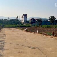 Cơ hội vàng sở hữu ngay mảnh vườn gần sân bay Long Thành – Giá chỉ 790 triệu/sào! Cơ hội đầu tư sinh lời lớn
