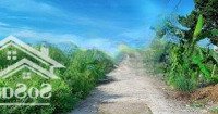 Bán Gấp Đất Nền 320M2 Tại Tân Hải, Phú Mỹ, Bà Rịa Vũng Tàu