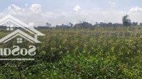 Chính Chủ Bấn Lo Đất Đ.nguyễn Văn Tiết.p5.Gần Chợ Đem Cai Lậy.tiền Giang. Đất Thổ Cư Bao Xây Dựng.