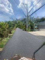 Hàng Thơm Giá Rẻ 165M2 Full Thổ Cưmặt Tiềnđường Nhựa
