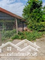 Bán Lô Đất Đẹp Trung Tâm Diên Khánh Sổ Sẵn Giá Tốt Đầu Tư Lướt Sóng Mua Bán Xây Ở Đều Đẹp