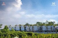 Biệt Thự 170M2 Dãy P01 Giá Tốt Nhất Dự Án Liên Hệ Em Ngay Nhé. Cam Kết Không Lỗi Bốt Điện Hỗ Ga