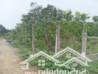 Bán 352M2 Lô Góc, Đất Vườn Sài Sơn, Quốc Oai, 870 Triệu