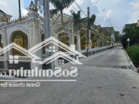 Bán Lô Đất Vị Trí Rất Đẹp, Khu Nhà Biệt Thựu Đường Cây Dầu - Phú Hội, Nhơn Trạch