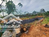 Đất Mặt Tiền Đường Nhựa Phú Hài, Phan Thiết. Trên Đồi Cao View Biển. Gần Các Khu Resort.