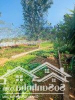 Bán Đất Tại Xã Minh Phú, Sóc Sơn, Hà Nội, 1,62 Tỷ, 90,6M2