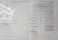 Cần Bán Đất Nông Nghiệp Cây Lâu Năm Tại Quới Sơn, Châu Thành