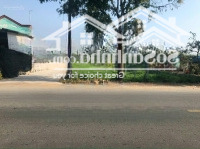 Bán Lô Đất 10*21,4 ( 214M2) Shr, Tân Thạnh Đông, Củ Chi. Giá Bán 2 Tỷ