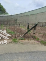 Bán Lô Đất 10*21,4 ( 214M2) Shr, Tân Thạnh Đông, Củ Chi. Giá Bán 2 Tỷ