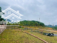 Chính Chỉ Cần Bán Lô Đất 60.1M . Sổ Đỏ Sẵn Sàng Giao Dịch Trong Ngày.
