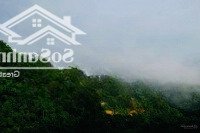 Bán Mảnh Đất Bám Suối, Diện Tích 3000M2, Tại Toàn Sơn, Đà Bắc, Hòa Bình