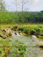 Bán Mảnh Đất Bám Suối, Diện Tích 3000M2, Tại Toàn Sơn, Đà Bắc, Hòa Bình