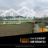 Mặt Tiền Đường Nhựa 18M, Đường Xương Cá Dt 750 Triệuừ Văn Thố, Bàu Bàng Không Bao Giờ Hết Hót.