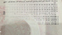 Bán Đất Sổ Đỏ, Đường Nhánh Ql51, Phường Tân Phước, Thị Xã Phú Mỹ, Bà Rịa - Vũng Tàu