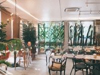 Siêu Hot Mbkd Phố Trần Đại Nghĩa -Diện Tích130M2 X 3T -Mặt Tiền7M - Vị Trí Siêu Đắc Địa