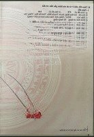 Chính Chủ Bán Lô Đất Hòa Hiệp Xuyên Mộc, Có 50M² Thổ Cư, Gần Mầm Non Hòa Hiệp 2- Giáo Xứ Phú Vinh