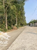 Cần Tiền Trả Ngân Hàng Nên Cần Bán Gấp. 3 Công 8 Mặt Tiền Đường Trung Đoàn, Phú Quốc, Kiên Giang