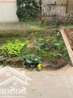 Bán Đất Tổ 8, Tt Quang Minh, Mê Linh. Đất Nằm Sát Siêu Thị Mê Minh Plaza, Và Đường Võ Văn Kiệt