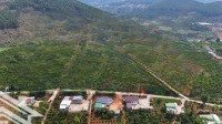Thị Trấn Nam Ban - Lâm Hà - Lâm Đồngdiện Tíchtừ 400M2 Sẵn 100M2 Thổ Cư Kdc Đông Đường Bê Tông Chỉ 749 Triệu