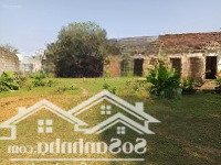 Chính Chủ Bán Lô Đất Đầu Tư Siêu Đẹp 2932M2 Tại Cố Thổ Xã Hòa Sơn, Lương Sơn, Hòa Bình: 0829911592