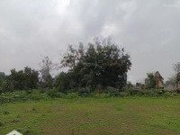 Chính Chủ Bán Lô Đất Đầu Tư Siêu Đẹp 2932M2 Tại Cố Thổ Xã Hòa Sơn, Lương Sơn, Hòa Bình: 0829911592