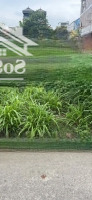 Chính Chủ Bán Đất Đạc Tài 120M2 Chỉ 2Xtr/M2